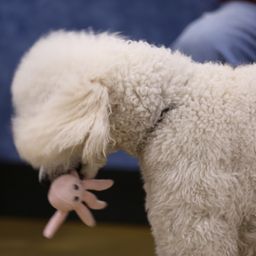 photograph by PeterW